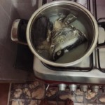 boiling a fish head
